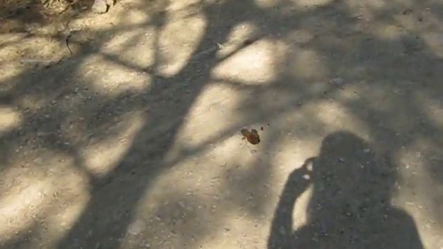 Песчаное (2) смотреть онлайн