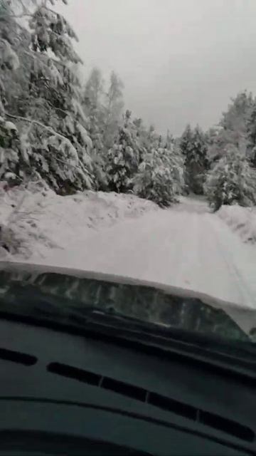 Подъезд к деревне Станьково, Псковской области смотреть онлайн
