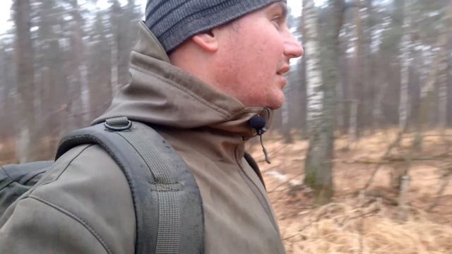🌲 🏕️  ЛОКАЦИИ В ЛЕСУ. |ПРОДОЛЖАЕМ ПУТЬ| ПОХОДНЫЕ ИСТОРИИ.  🌲  🏕️. #23