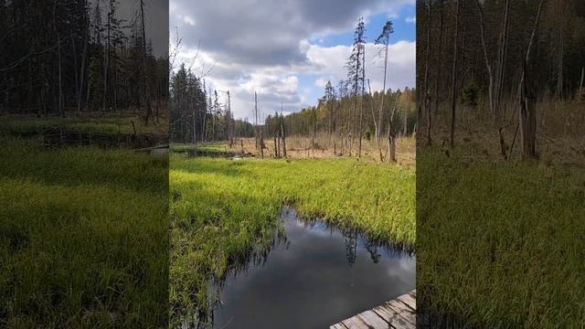 Поездка на Валдай (1-2 день) смотреть онлайн