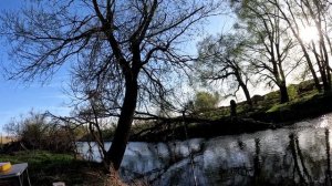 рыбалка на р. Дубна 22 апреля 2025