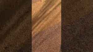 Маленький паркур во дворе