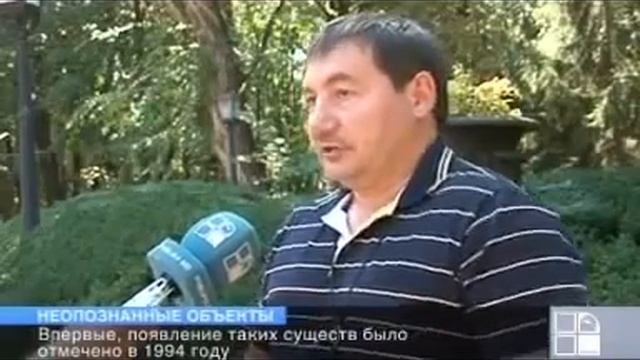 Неопознанные объекты появились в Старом Орхее смотреть онлайн