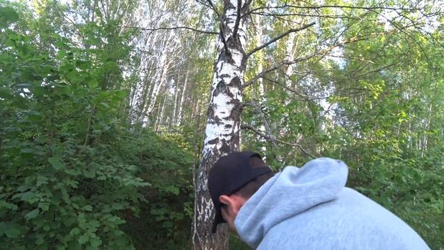 ДОБРАЛСЯ ДО ОЗЕРА НА ВЕЛОСИПЕДЕ.ОДИНОЧНЫЙ КЕМПИНГ В ЛЕСУ.сОБРАЛ БОЛЬШУЮ ПАЛАТКУ. смотреть онлайн