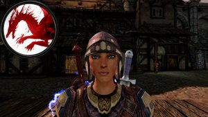 Dragon Age Origins - Мод "Теневой Бизнес"