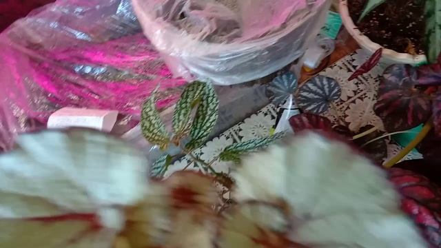 video_20250423_132501.mp4мои излишки