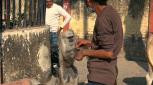 Я тебя люблю Индия