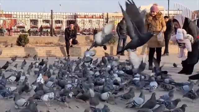 Таджикистан смотреть онлайн