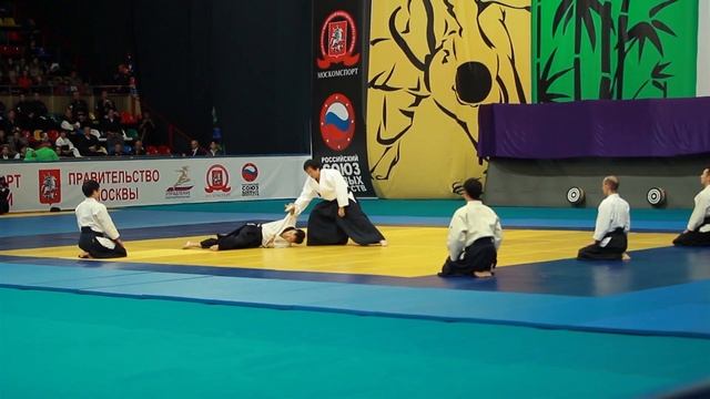 Karate, Aikido, Shorinji Kempo, Sumo,Judo,Kendo.Nippon Budokan demonstration techniques martial art