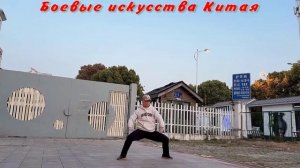 Практический бокс Тайцзи стиля Чэнь