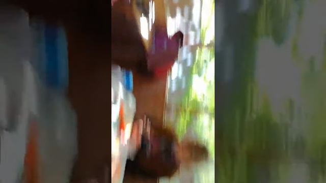 Автор Николаенко -Белова Галина .В Каморово. смотреть онлайн