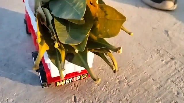 mini tractor toy video RC tractor tractor trolley video#viral #tractor #swaraj #trendingvideo 🥰