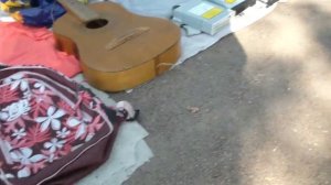 Блошиный рынок  Петербург  Летний зной