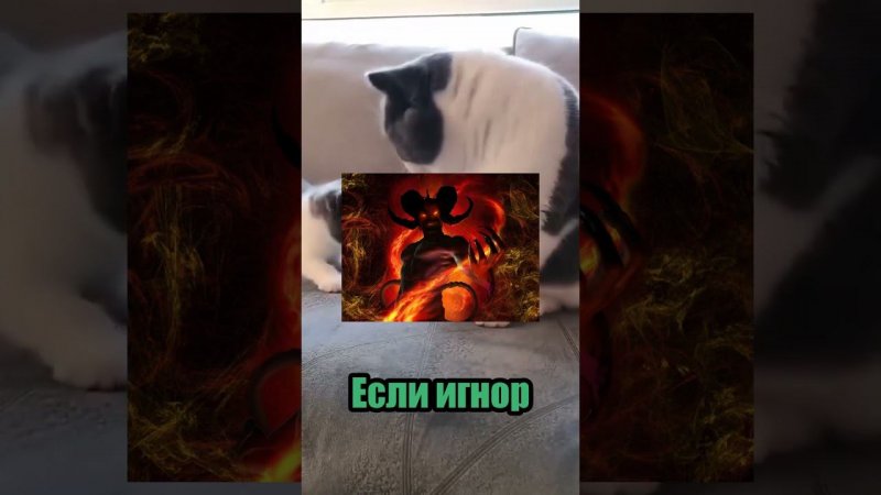 Любишь Иисуса #рек #рекомендации #выбери #кот #котик #котики #хочуврек #иисус #а4 #а4топ
