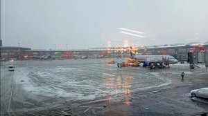 Airbus a321neo а/к Аэрофлот Уфа - Москва (SVO)