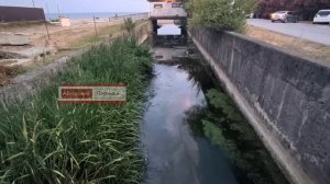 Скандал в Гудауте