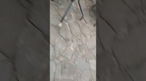 искупался в говне раз часть