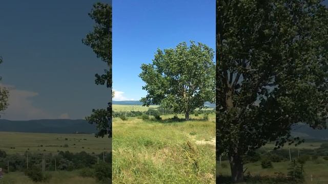 Станица Раевская Краснодарский край