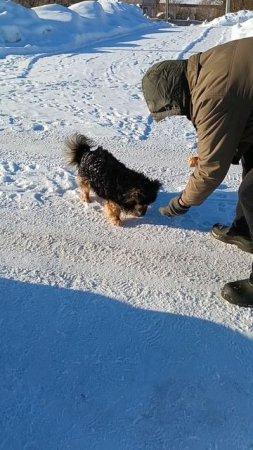 Сосед Генрих пришёл угоститься))