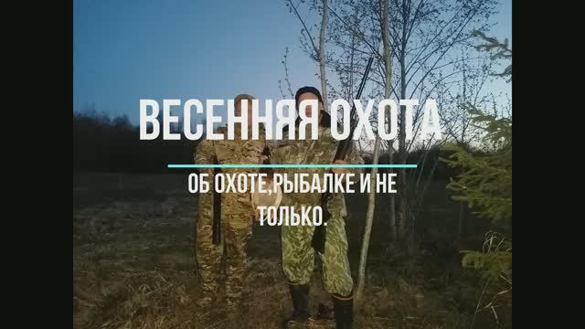 Весенняя охота.