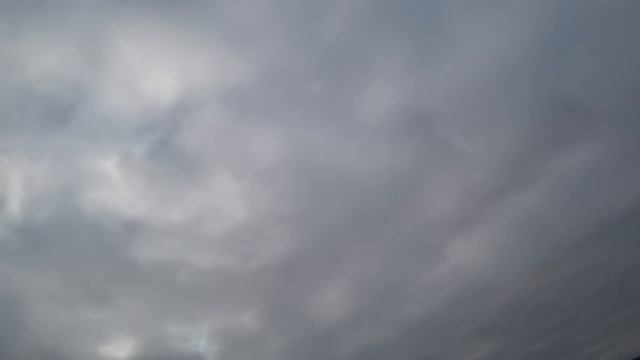 Фильм "Охота на гуся Беларусь19-1" (Охотник по перу),Goose hunting Belarus 19-1 смотреть онлайн