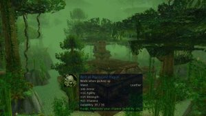 ФЕРАЛ ДРУИД КОТ в World of Warcraft Classic (Feral druid Cat)