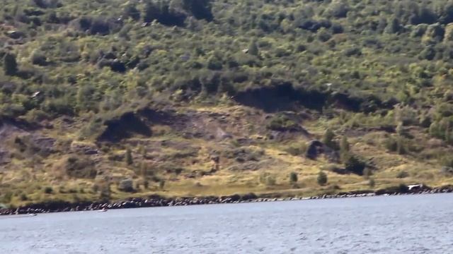 Виды Ульяновска с теплохода 8 08 2015г смотреть онлайн