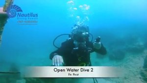 Diving In Kuwait