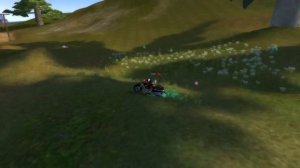 Perfect World Сервер New Age обновление! Ездовые питомцы!