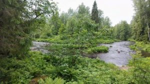 ЭКОТРОПА ЛИНДУЛОВСКАЯ РОЩА