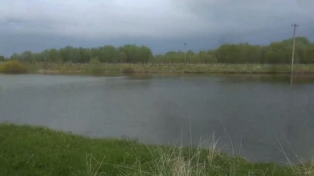 БОЛЬШАЯ ПРОГУЛКА ПО ЛЕСУ - ПОИСК РЫБНОГО МЕСТА смотреть онлайн