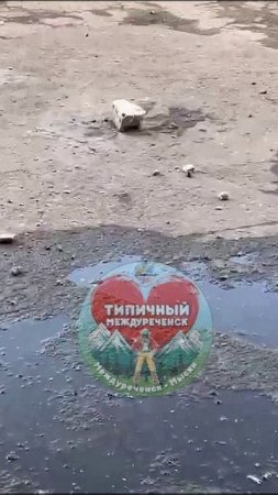"Кирпичи падают на головы людей с крыши…" – пишет жительница Мысков.