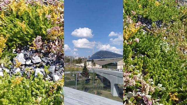 Питер - Москва - Иваново - Питер смотреть онлайн