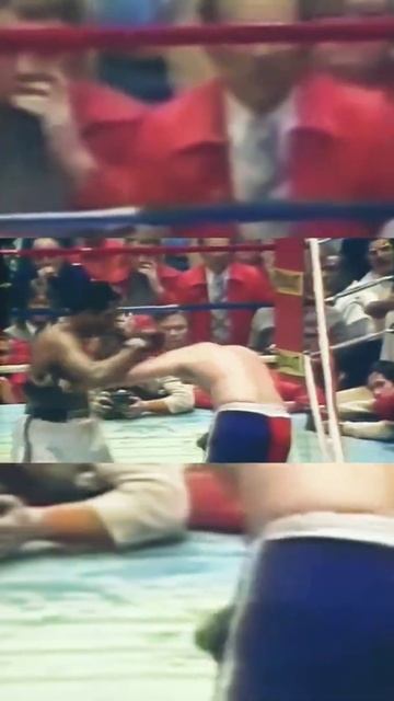 #shorts #бокс #mohammed ali #boxing #мохаммед али #sports
