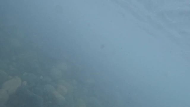 В море с головой смотреть онлайн