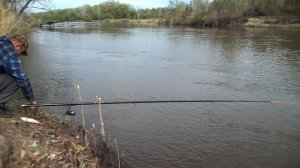 Медведица ст Арчадинка Волгоградская обл