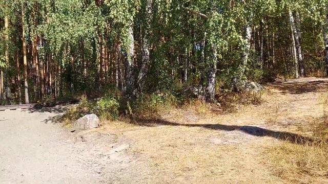 Природный парк «Каменные палатки» — кусочек леса в городе#екатеринбург смотреть онлайн