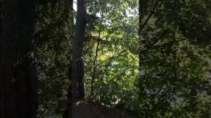 Переславль-Залесский. Река Вёкса