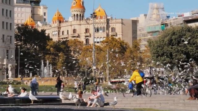 Доминиканская Республика: Райские Пляжи и Культурные Достопримечательности.