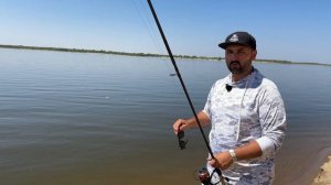 Рыбалка на Волжской протоке : лучшее время для ЛЕЩА и ЯЗЯ ! Фидер на сильном течении