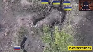 Один наш боец обратил в бегство 8 ВСУшников