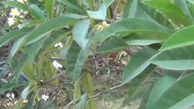 выбор места съемки смотреть онлайн