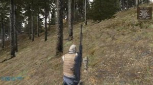 Где найти хороший лут в Dayz