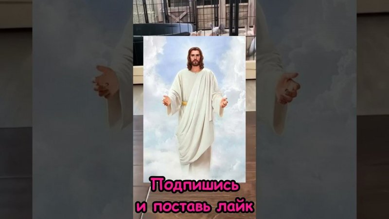 Иисус или Дьявол? #рек #рекомендации #хочуврек #выбери #кот #котик #собака #иисус #cat #trending