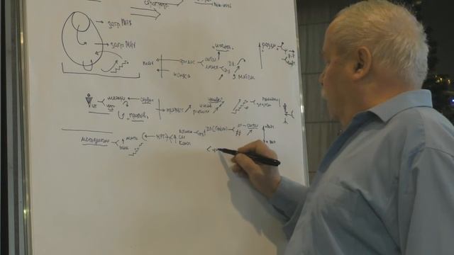 ММПК ОСА МТШ Методологическое поле  МРТ   методологический лифт  Типовые задачи учебных комплексов