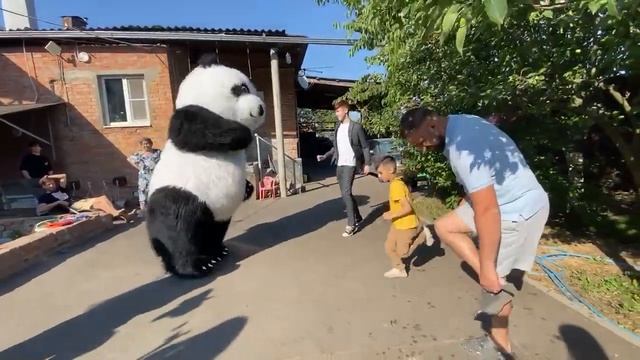 #panda #umka #Амиго #Умка #dance #umkarostov #мишкаумка #амиго #мишканапраздник #медведь #танцы