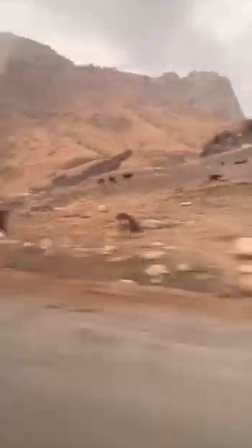 Дагестан Казбековский район смотреть онлайн