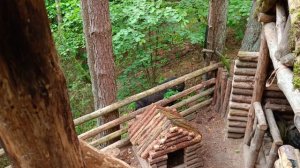 Пришёл на хутор а там? | Жизнь в лесу с диким кабаном | бушкрафт | bushcraft.