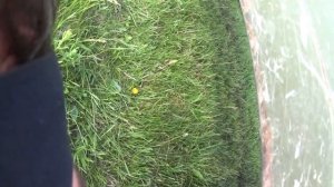 Поставили задний кардан на УАЗ Буханку. Первый тест по бездорожью