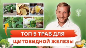 Секрет 5 трав, который растут у вас под ногами